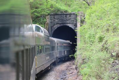 Silver-feather-tunnel
