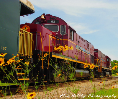 ALCOs-P-Train-Coupling-VB-Spring-flowers-ALEX-