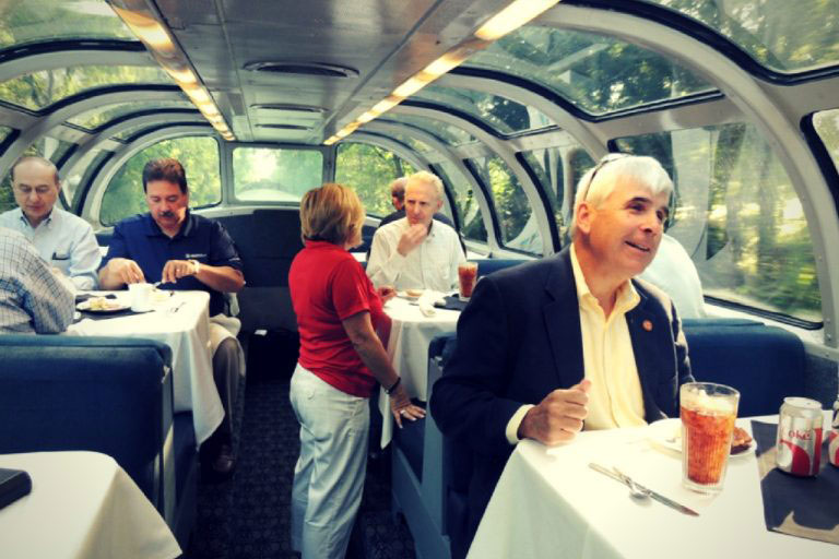 Silver Feather Premium Dome Railroad Car
